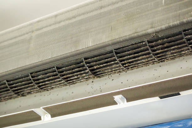 Best HVAC Air Duct Cleaning  in Riverdale Park, MD